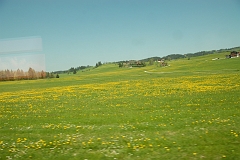 Day07 (261)